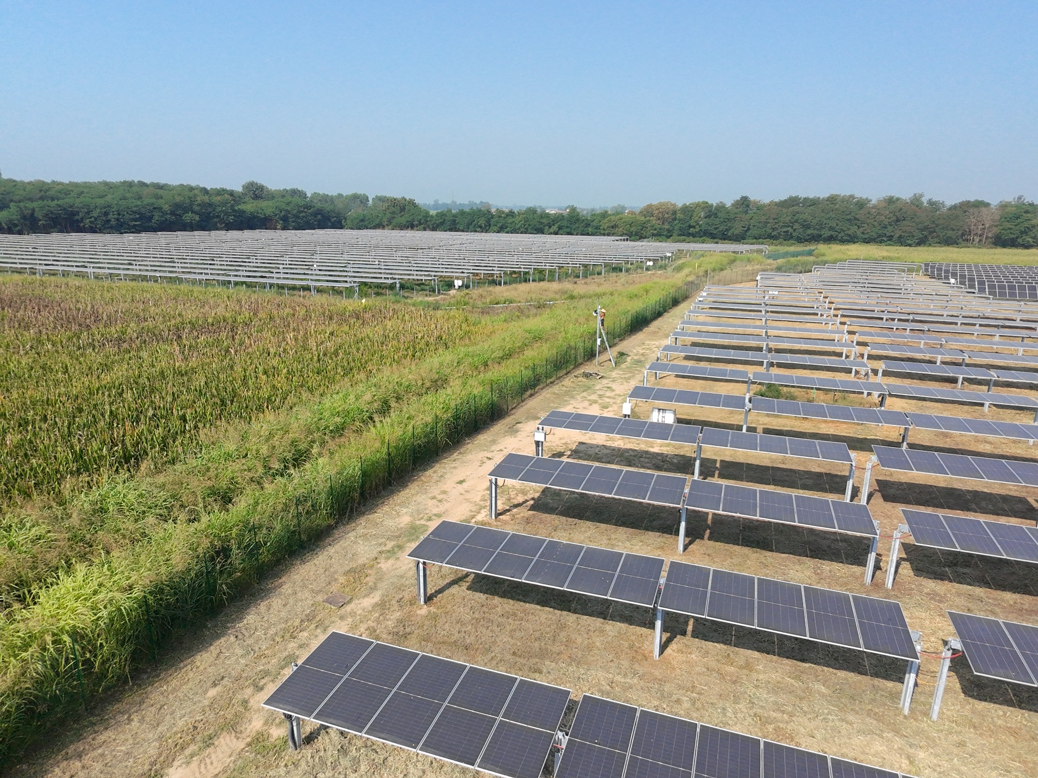 Msy Science 3 Impianto agrivoltaico di Tromello