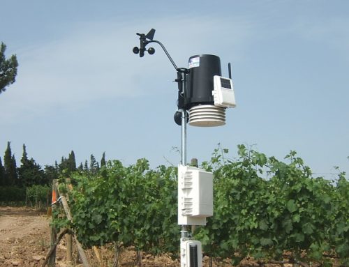 Perché è importante avere una centralina meteo professionale
