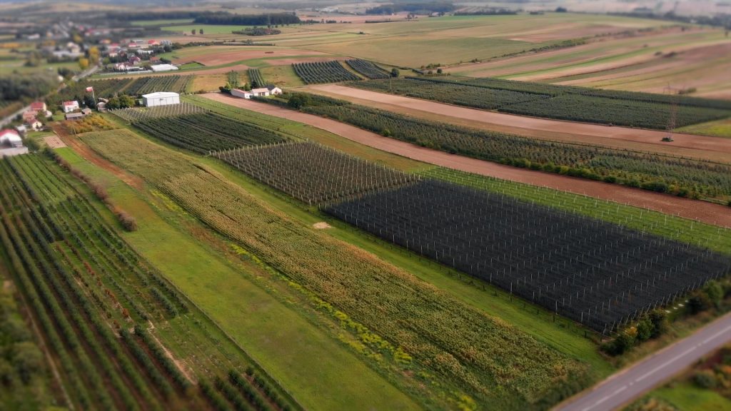 Stazioni meteorologiche per agricoltura 3 Stazione Meteo per l'agricoltura