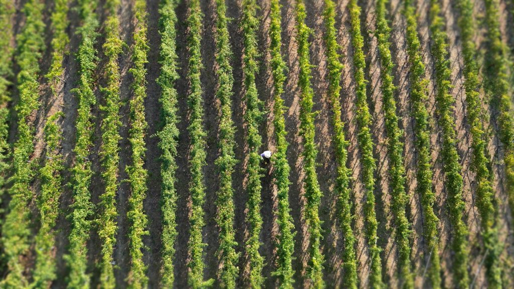 Stazioni meteorologiche per agricoltura 8 Stazione Meteo per l'agricoltura